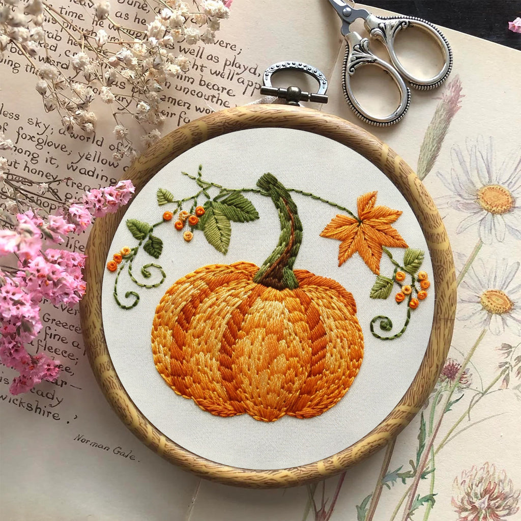 Rubbyoo Embroidery Kit- Pumpkin Easy  Embroidery Kit For Beginners | Cozy Crafts - image 7