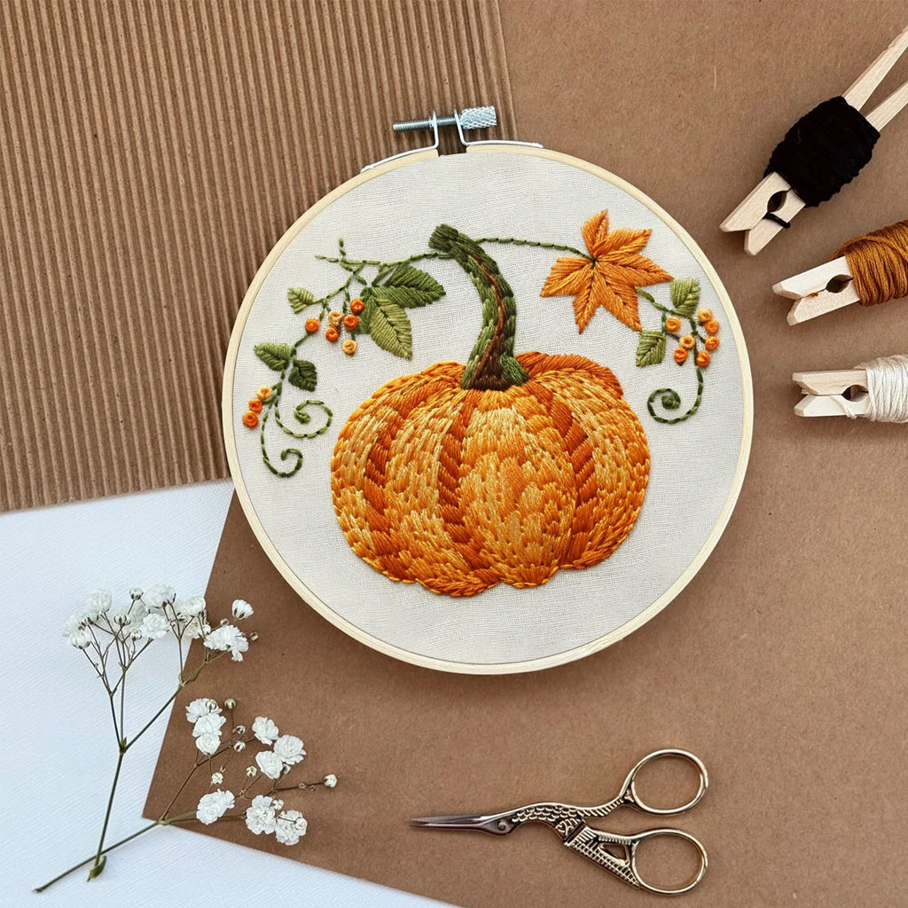 Rubbyoo Embroidery Kit- Pumpkin Easy  Embroidery Kit For Beginners | Cozy Crafts - image 5