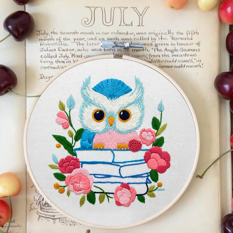 Rubbyoo Embroidery Kit - Owl Loves Reading - image 2