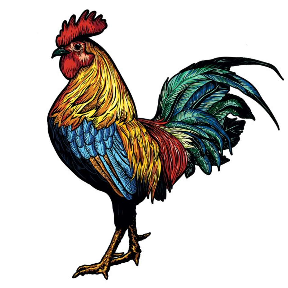 Blue Bantam Chicken - Wooden Jigsaw Puzzle - A3  - Wooden Gift Packaging - image 0