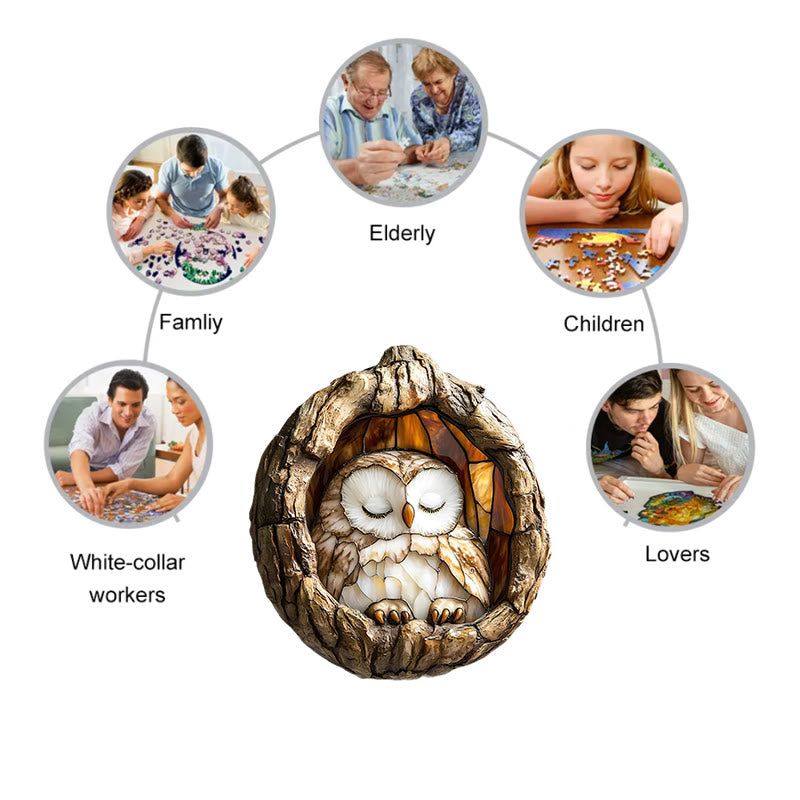 3D Vision Sleeping Owl - Wooden Jigsaw Puzzle - image 7