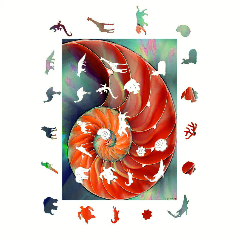 Nautilus Shell - Wooden Jigsaw Puzzle - image 5