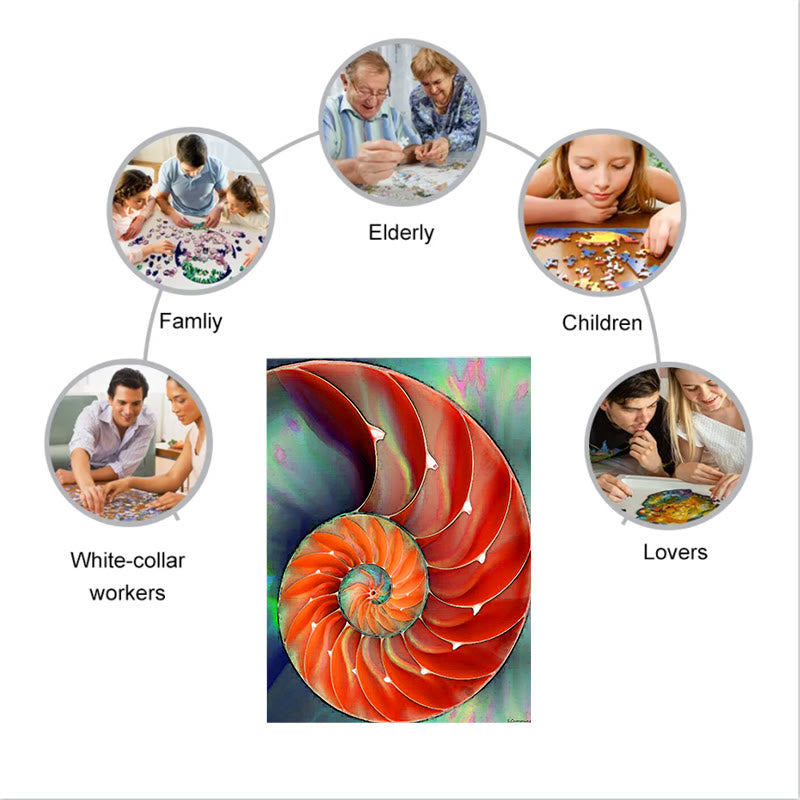 Nautilus Shell - Wooden Jigsaw Puzzle - image 7
