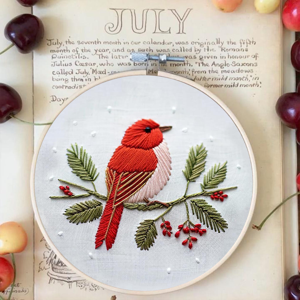 Rubbyoo Embroidery Kit - Robin Bird | Diy Needle Stitch Kit  - image 5
