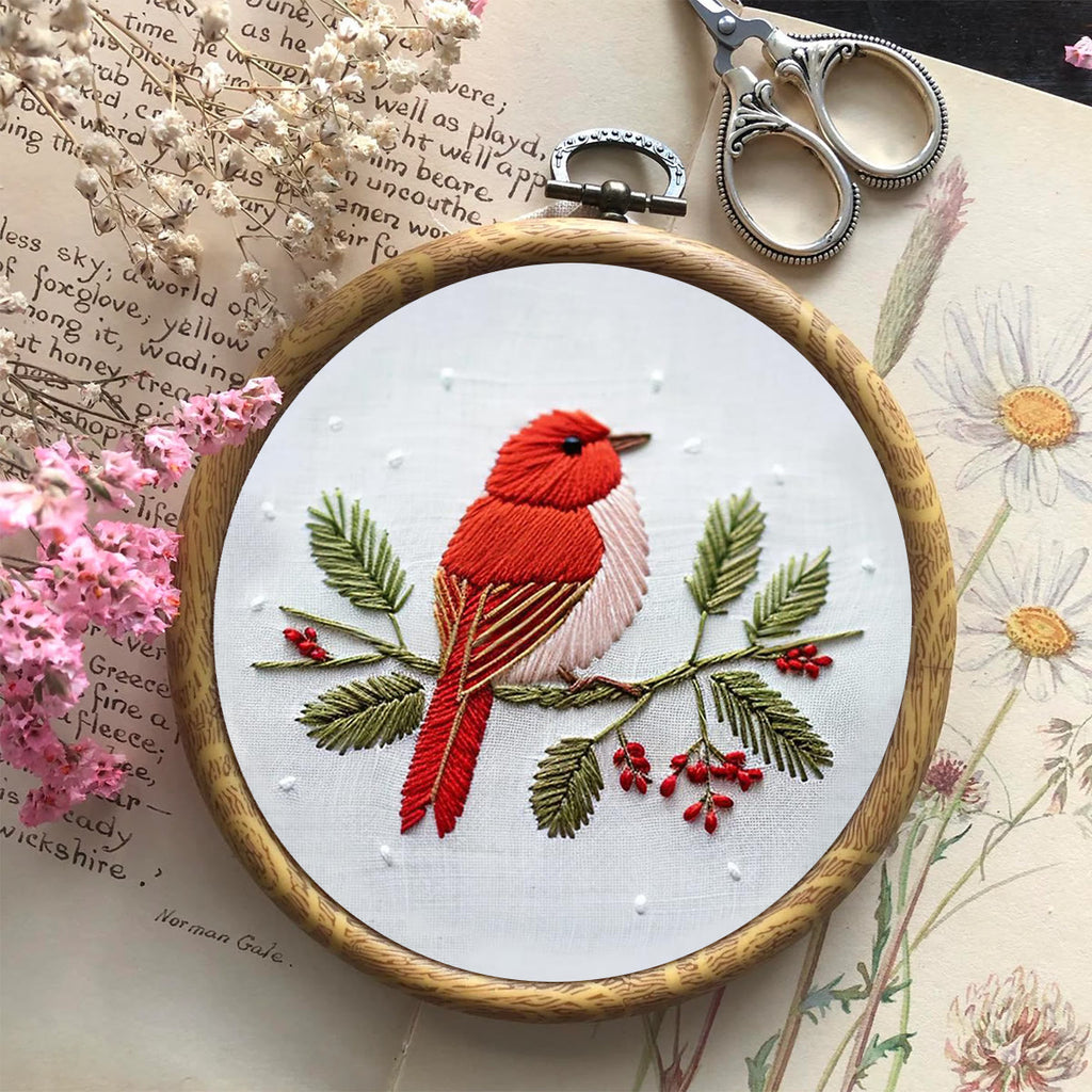 Rubbyoo Embroidery Kit - Robin Bird | Diy Needle Stitch Kit  - image 1