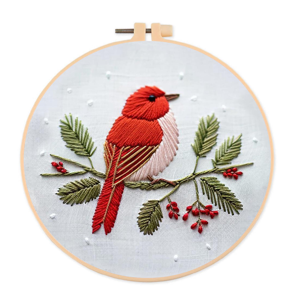 Rubbyoo Embroidery Kit - Robin Bird | Diy Needle Stitch Kit  - 20*20cm - image 0
