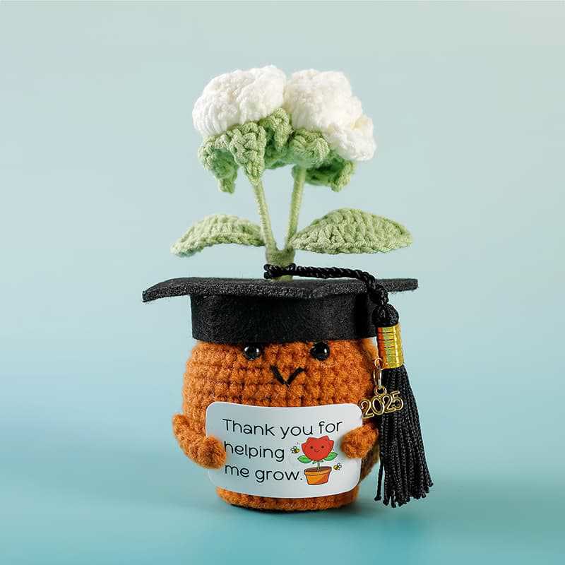 Handmade Graduation Flower Bouquets Crochet - Woven Floral Doll | Artistic Desk Decor | Suitable For Classmates - White Flowers - image 6