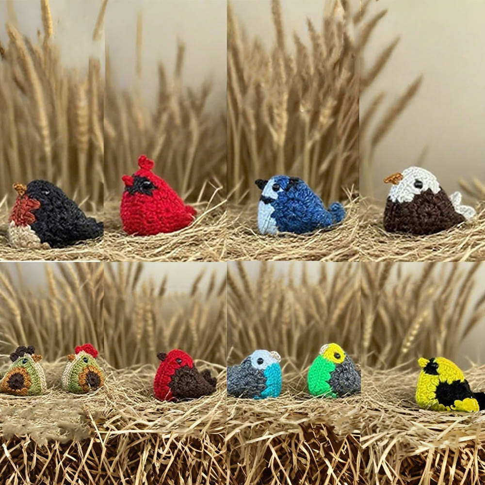 Diy Handmade Chicken And Bird Crochet  Kit - Cute Needle Doll | Nice Birthday Craft - image 2