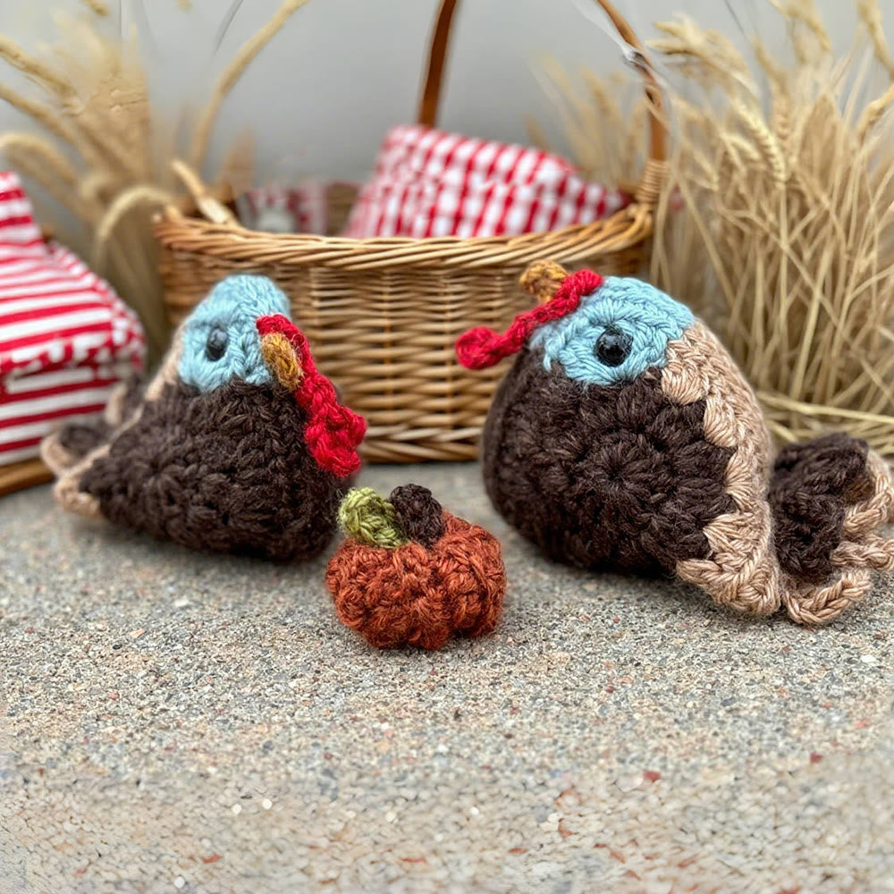 Diy Handmade Chicken And Bird Crochet  Kit - Cute Needle Doll | Nice Birthday Craft - image 1