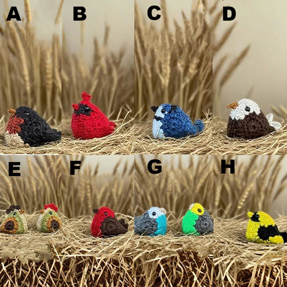 Diy Handmade Chicken And Bird Crochet  Kit - Cute Needle Doll | Nice Birthday Craft - H - image 5