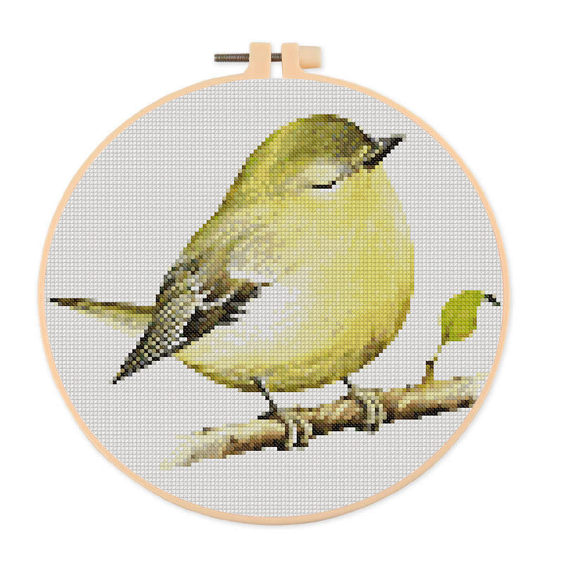  Cross Stitch Kit - Vireo Bird | Handicraft For Bird Lovers | Needle Artwork For Starter - 20×20cm - image 0