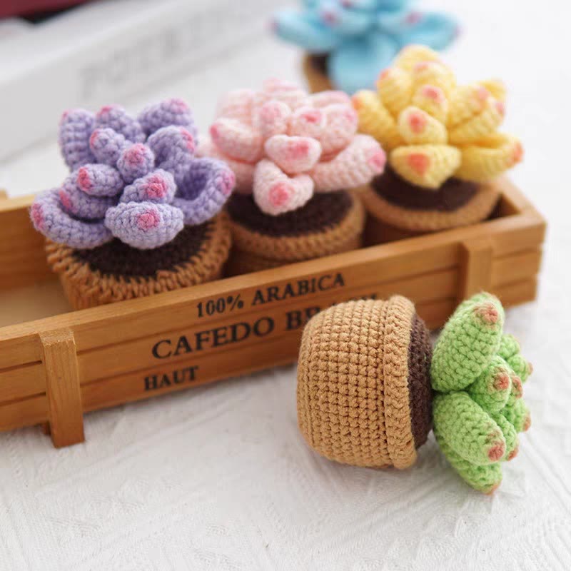 Diy Handmade Colourful Succulent Crochet Kit - Unique Window Decor | Perfect Gifts For Friends - image 2