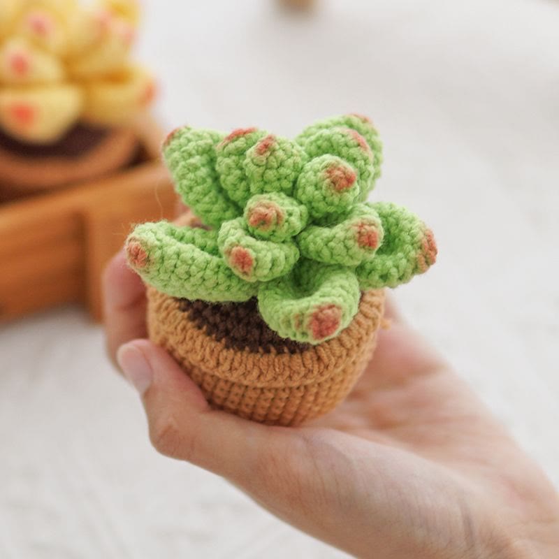 Diy Handmade Colourful Succulent Crochet Kit - Unique Window Decor | Perfect Gifts For Friends - green - image 6