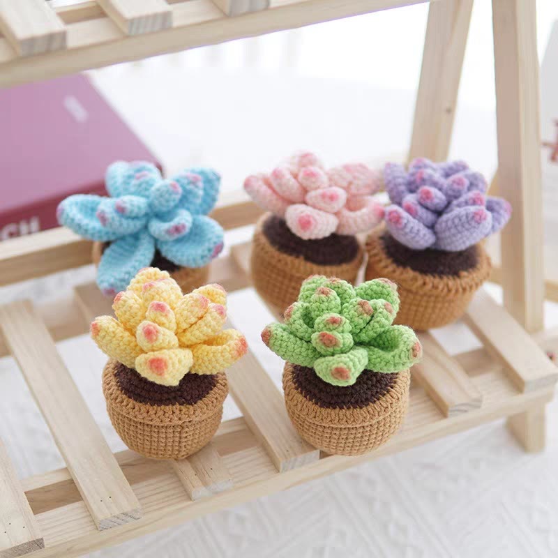 Diy Handmade Colourful Succulent Crochet Kit - Unique Window Decor | Perfect Gifts For Friends - image 0