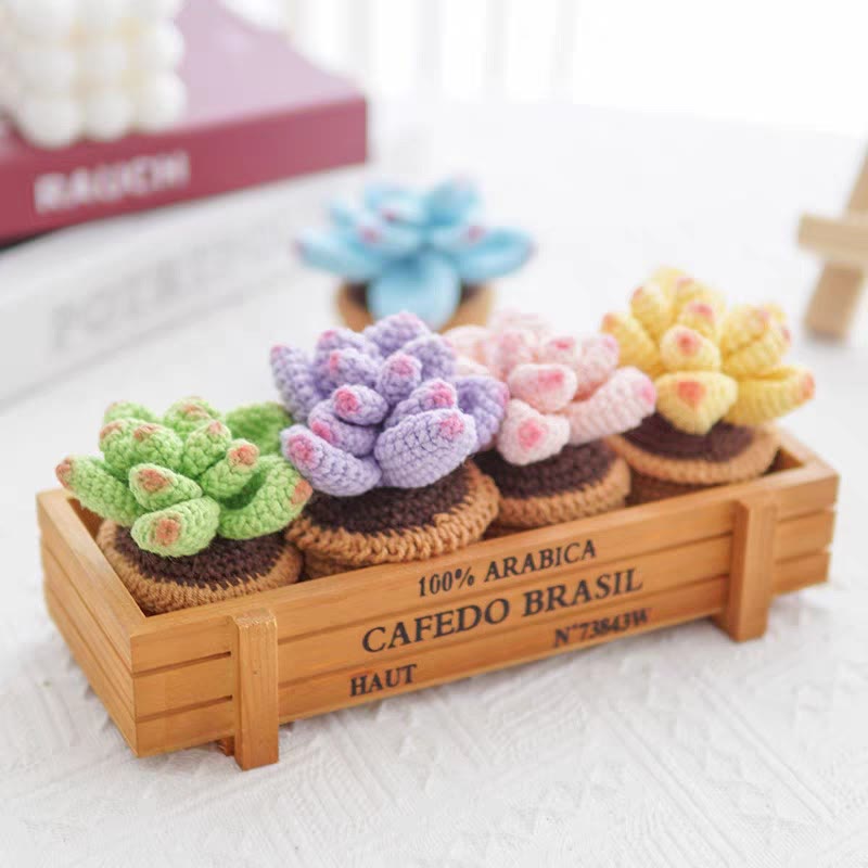 Diy Handmade Colourful Succulent Crochet Kit - Unique Window Decor | Perfect Gifts For Friends - image 3