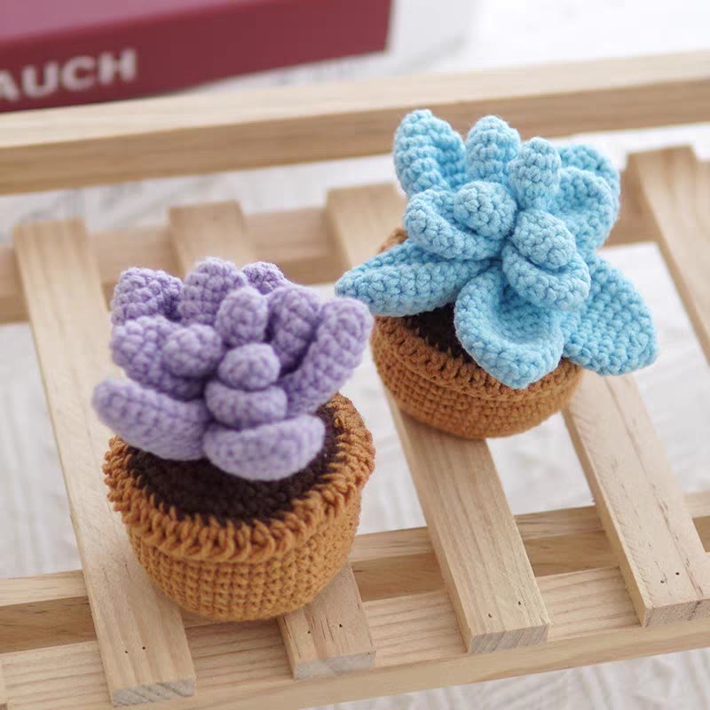 Diy Handmade Colourful Succulent Crochet Kit - Unique Window Decor | Perfect Gifts For Friends - image 1