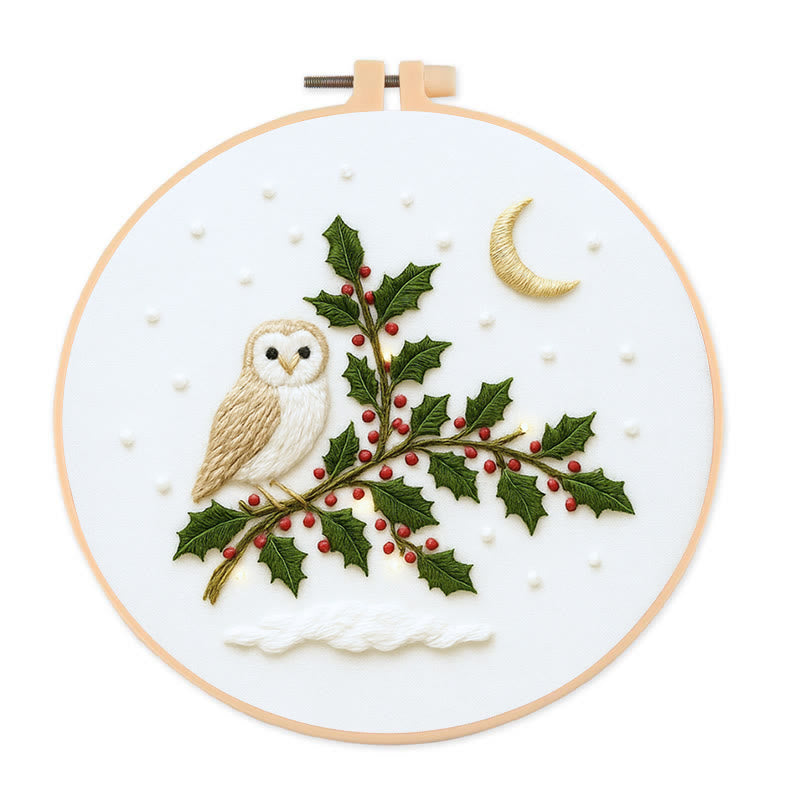 Rubbyoo Embroidery Kit - Winter Owl | Christmas Tree Decor | Diy Holiday Handicraft  - 20*20cm - image 0